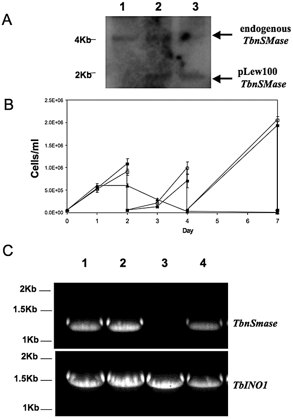 Fig. 4