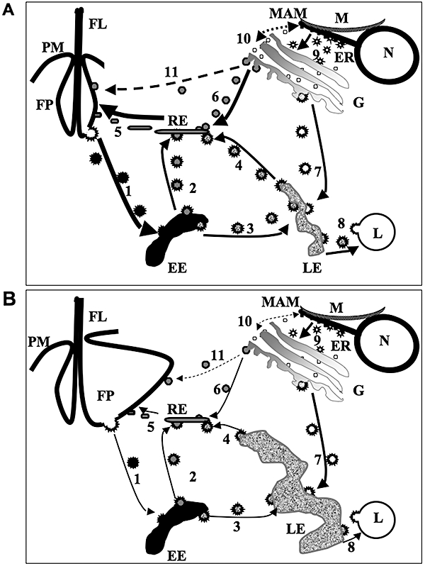 Fig. 9