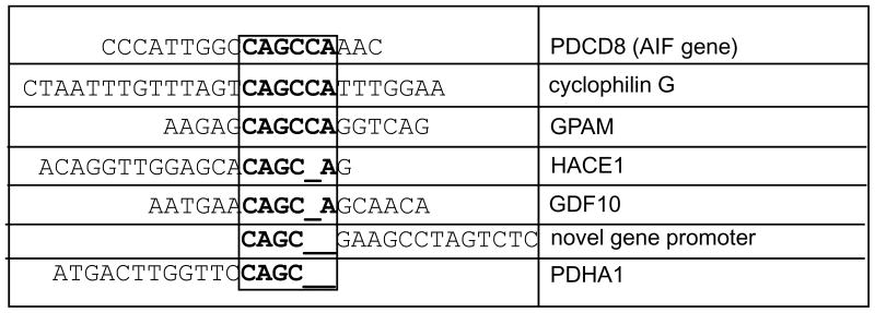 graphic file with name nihms1901f9.jpg