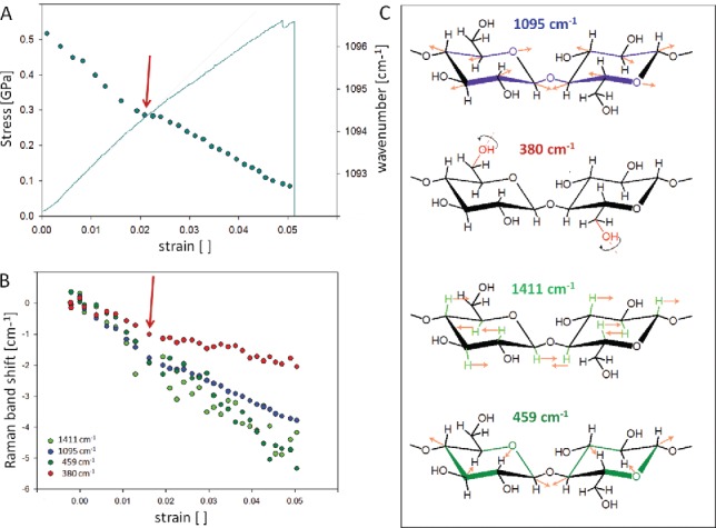 Figure 11.