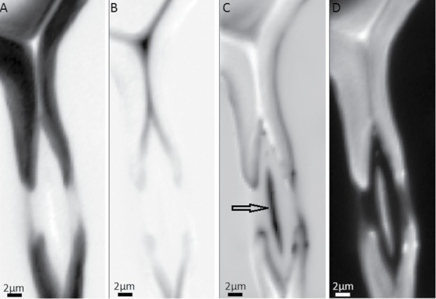 Figure 7.