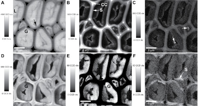 Figure 3.