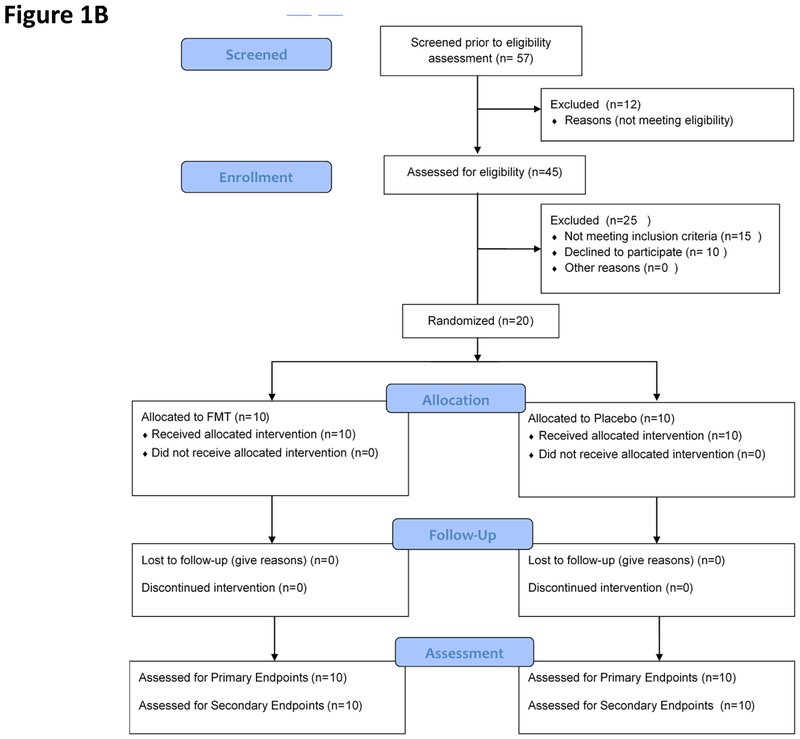 Figure 1B: