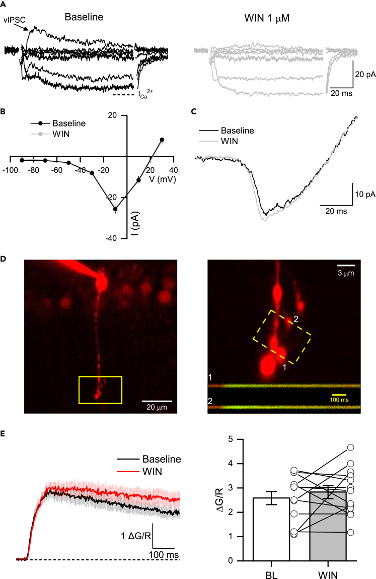 Figure 3