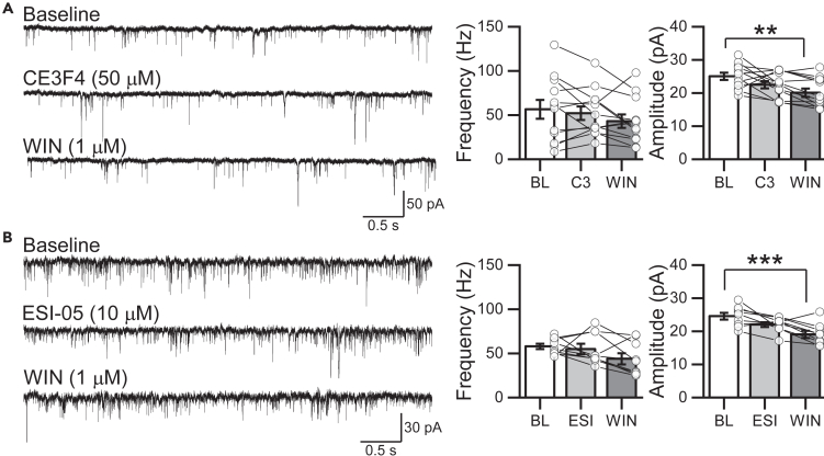 Figure 5