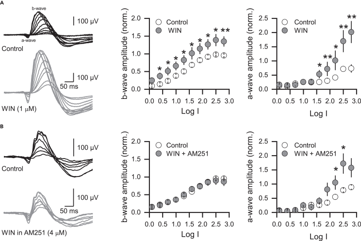 Figure 6