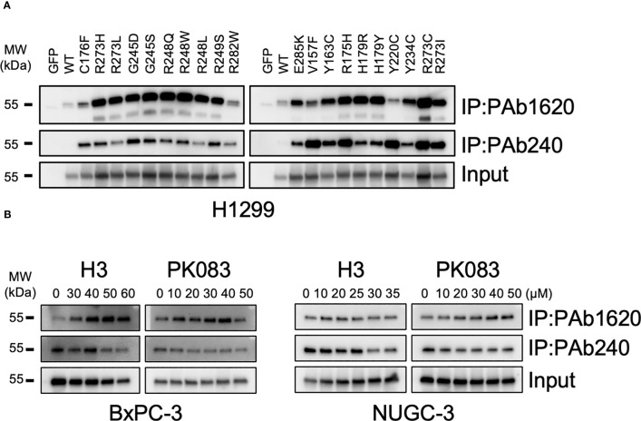 Figure 4