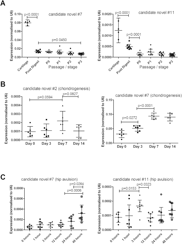 Fig. 4