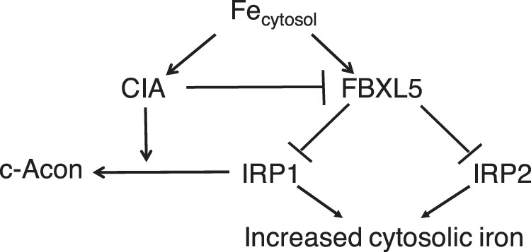 Figure 9.