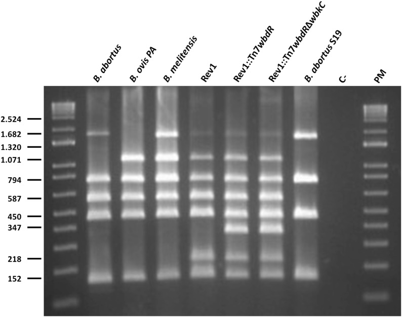 Figure 1