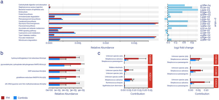 Bar chart illustrating relative abundance, log2 fold change, and contributions of various species and metabolic processes. Red and blue bars represent FM and control groups, respectively. Each section details specific enzymes and species like Streptococcus and unknown strains, comparing their contributions and statistical significance with corresponding p-values.