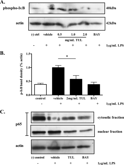 FIG. 7.