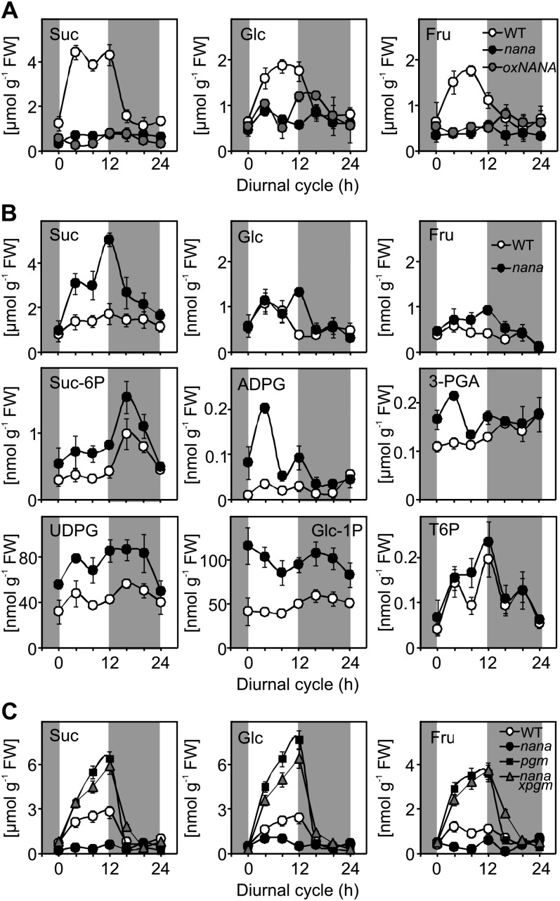 Figure 7.