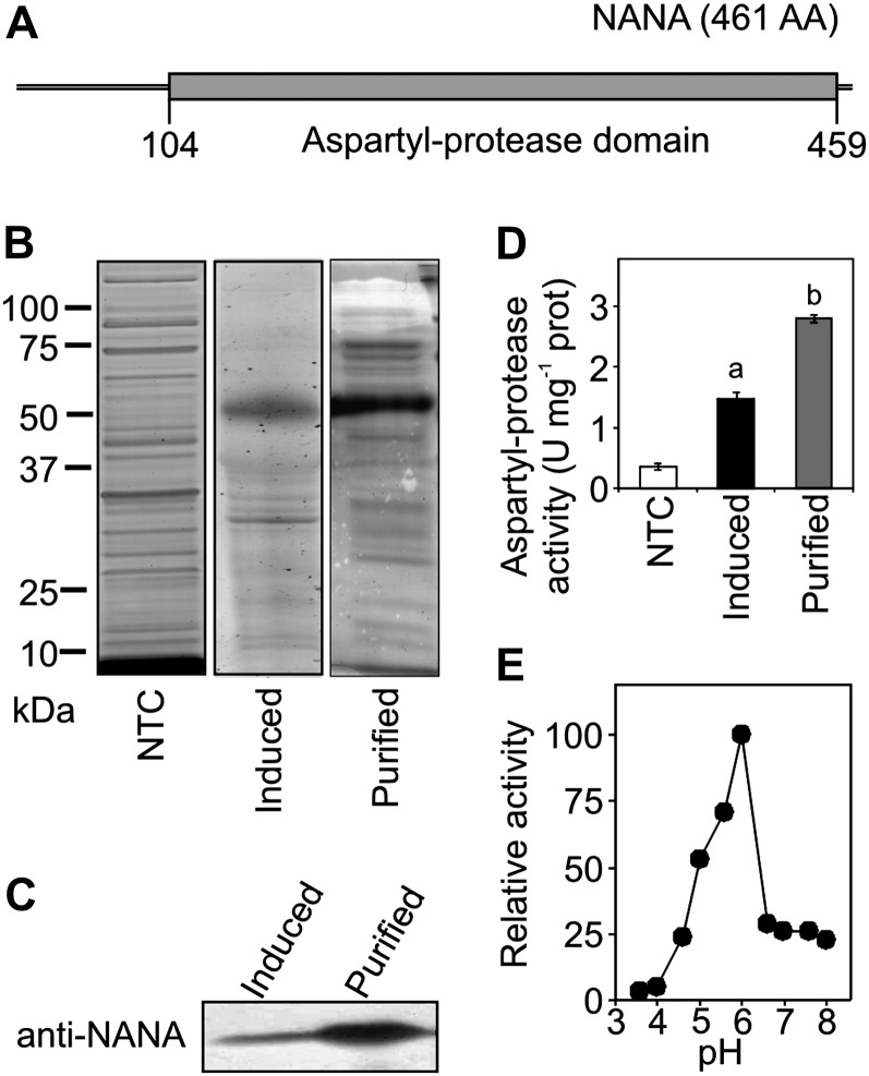 Figure 5.