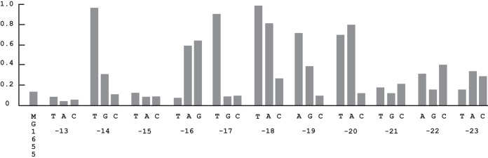 FIG 5