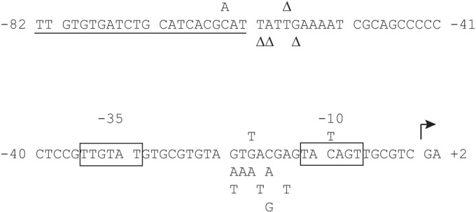 FIG 4