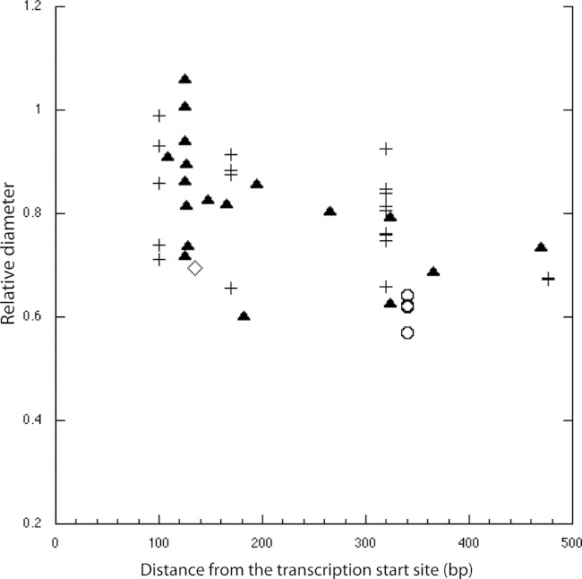 FIG 3