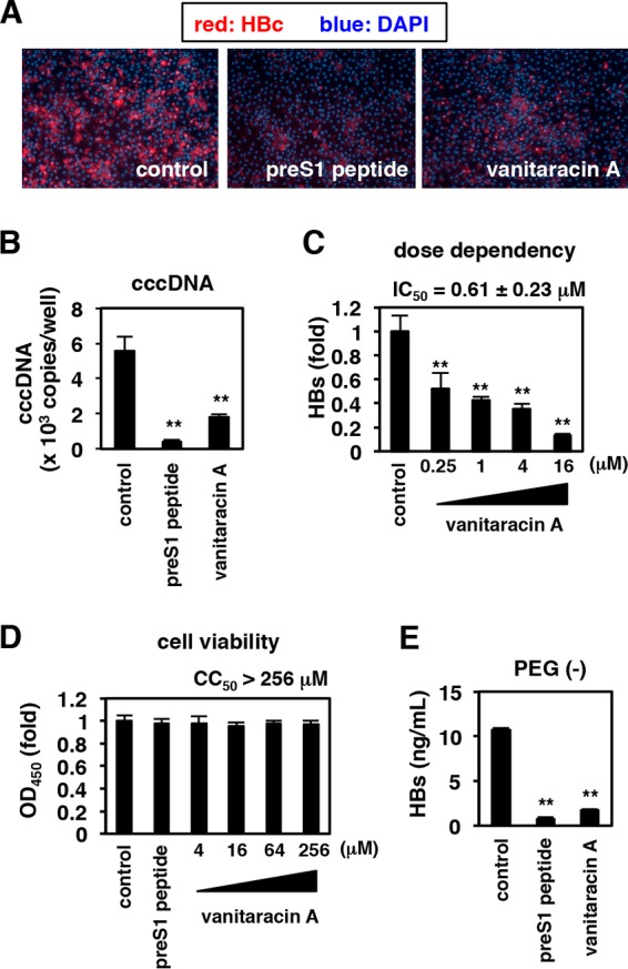 FIG 2