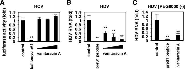 FIG 6