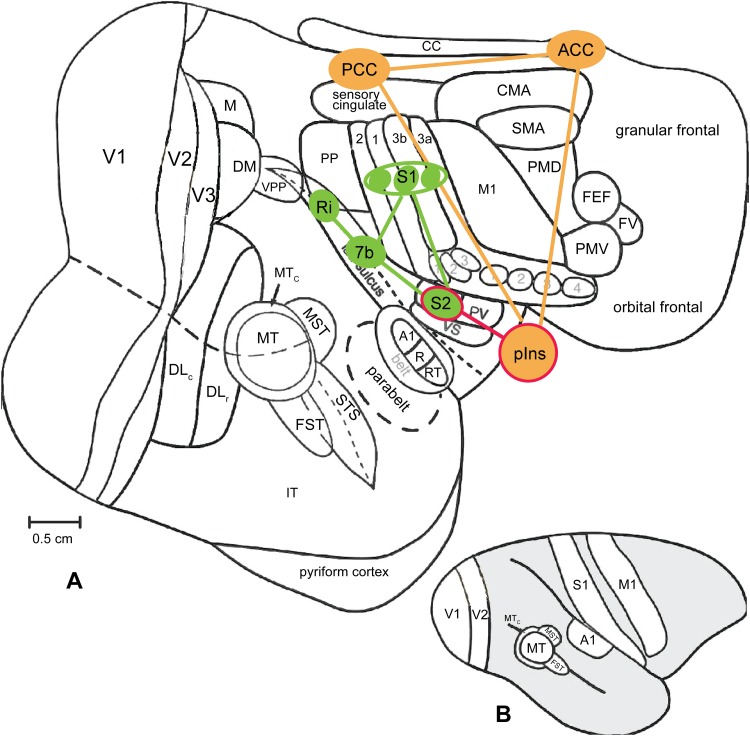 Fig. 5