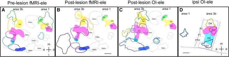 Fig. 6