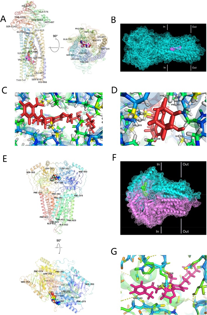 Fig. 2