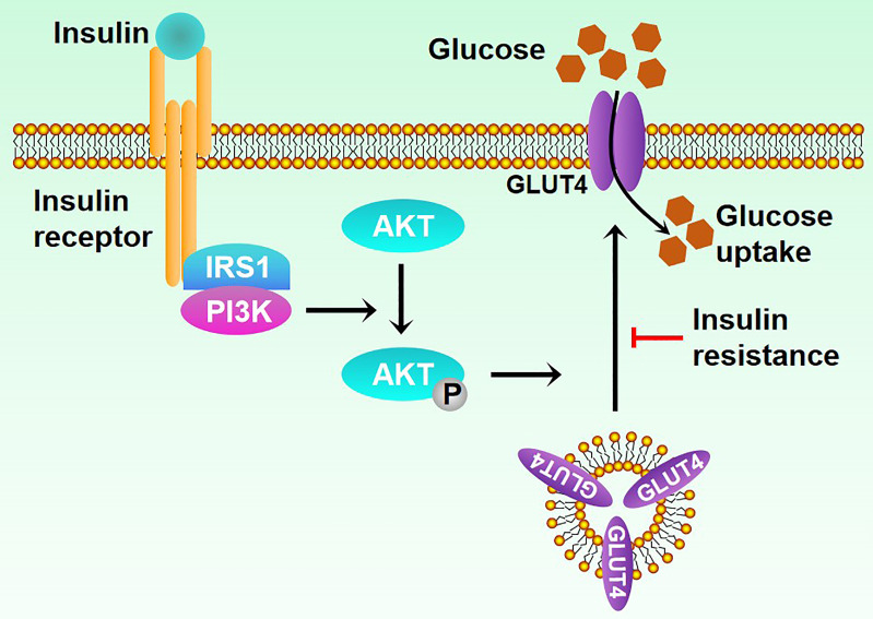 Figure 1