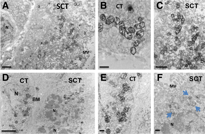 Figure 2