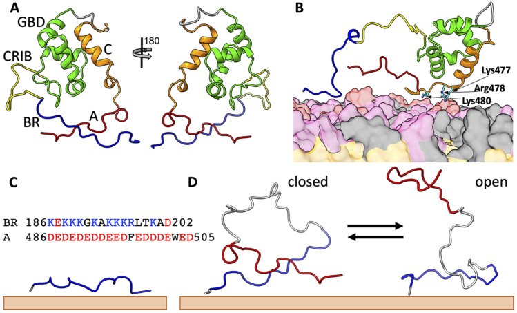 FIG. 1.