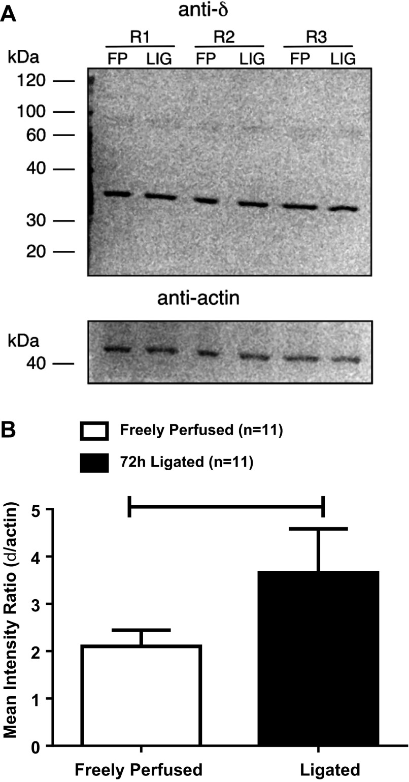 Fig. 8.