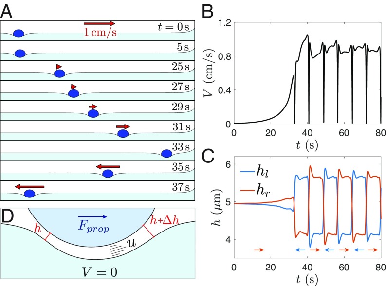 Fig. 3.