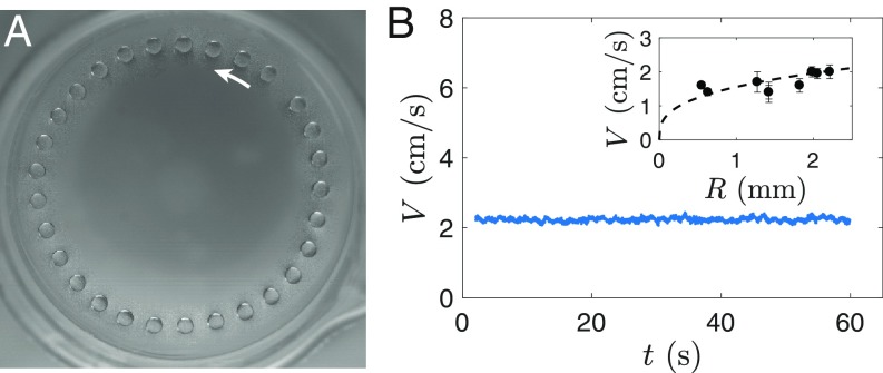 Fig. 5.