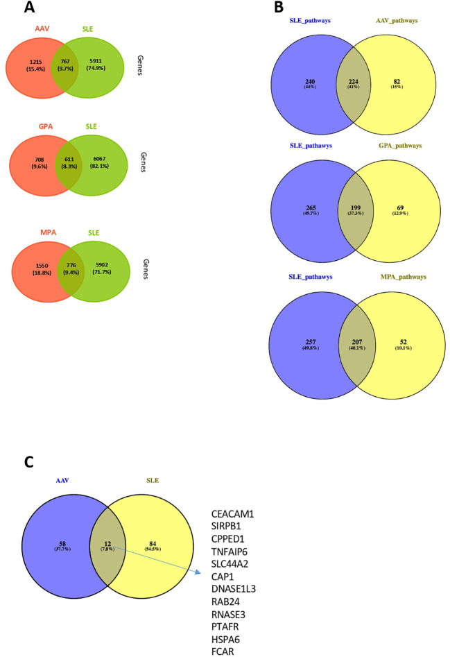 Figure 7