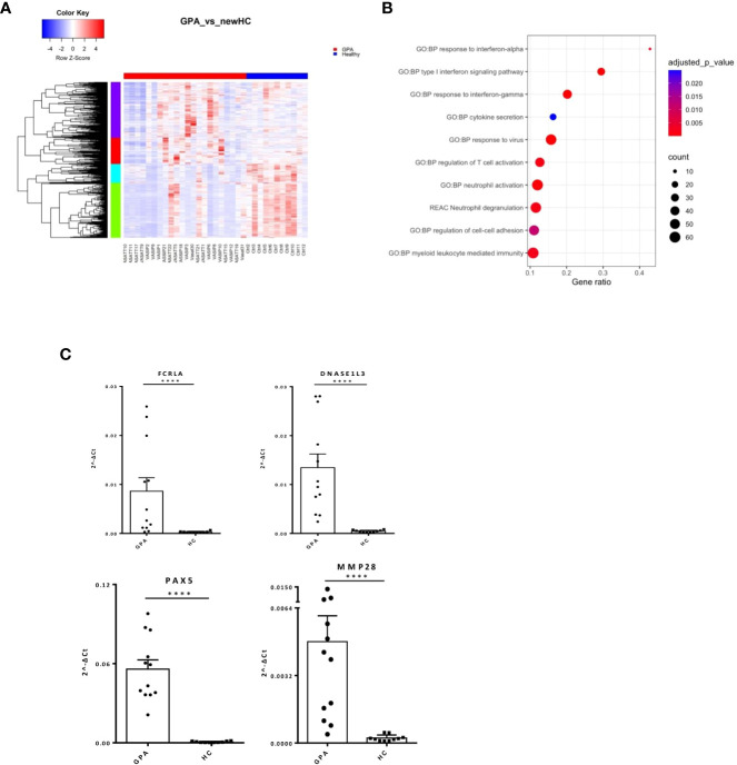 Figure 2