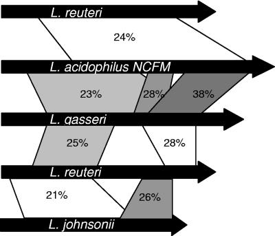 FIG. 5.