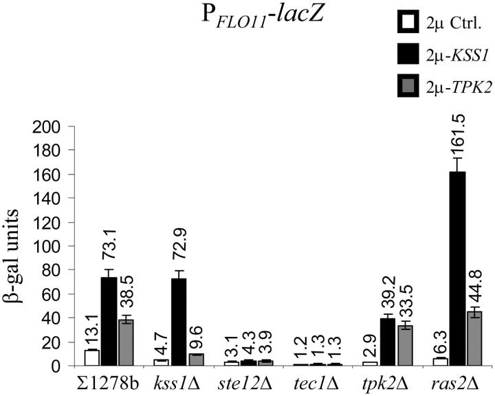 Figure 7.—