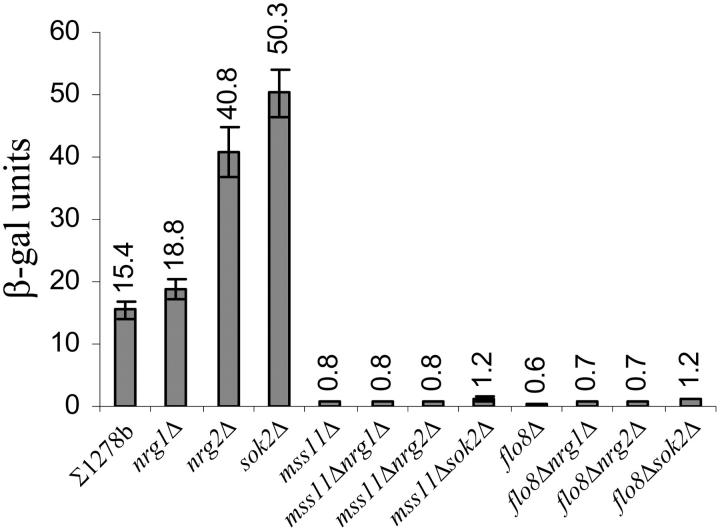 Figure 5.—