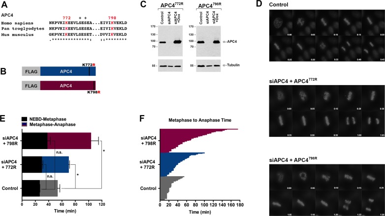 Figure 2—figure supplement 1.