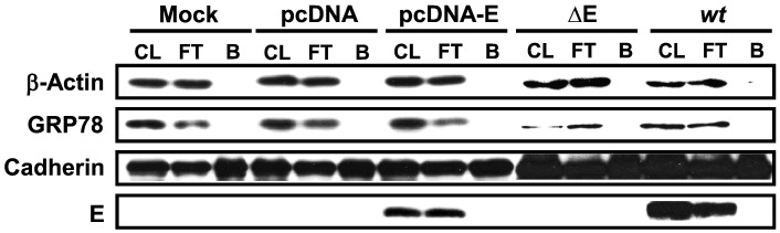 Fig. 5