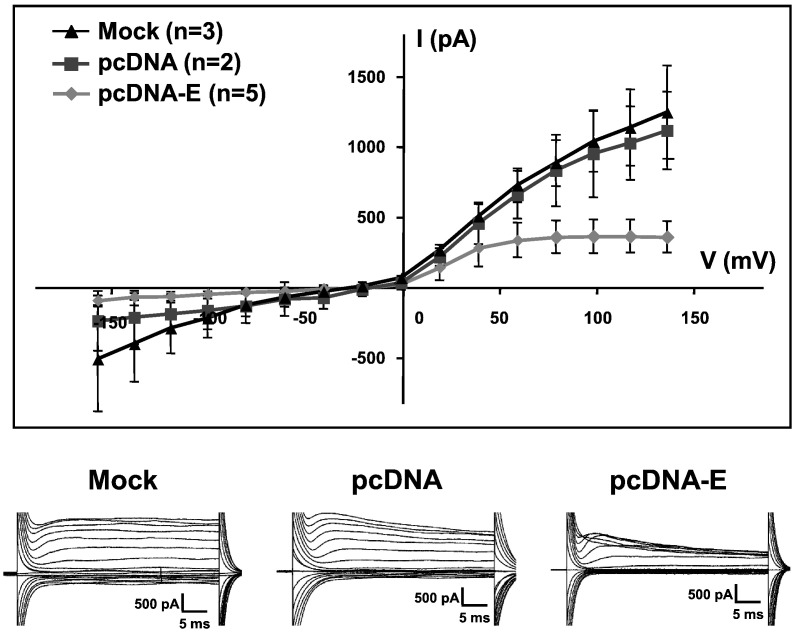 Fig. 6