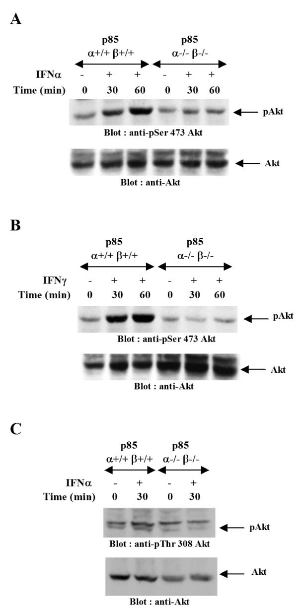 Figure1