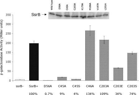 FIGURE 9.