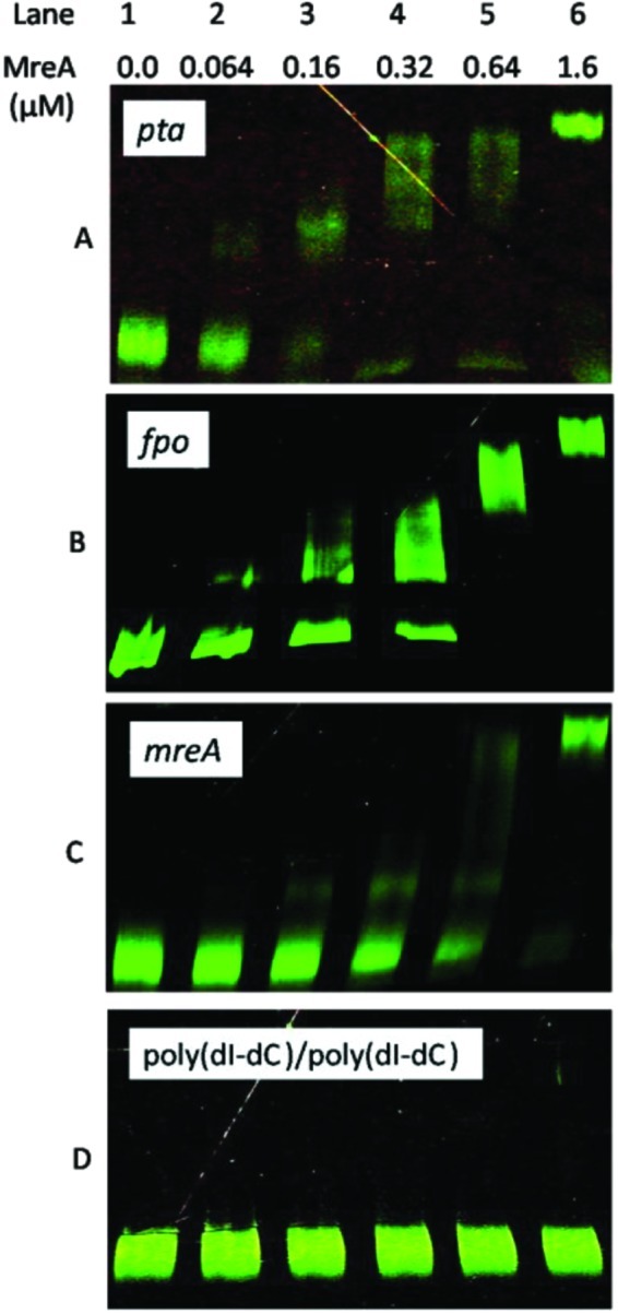 FIG 1 