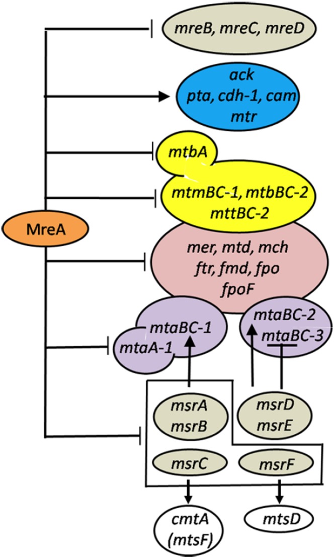 FIG 3 