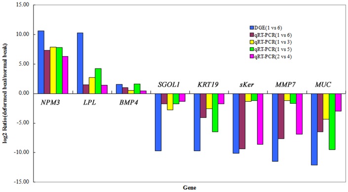 Figure 7