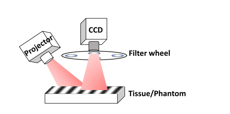 Fig. 1