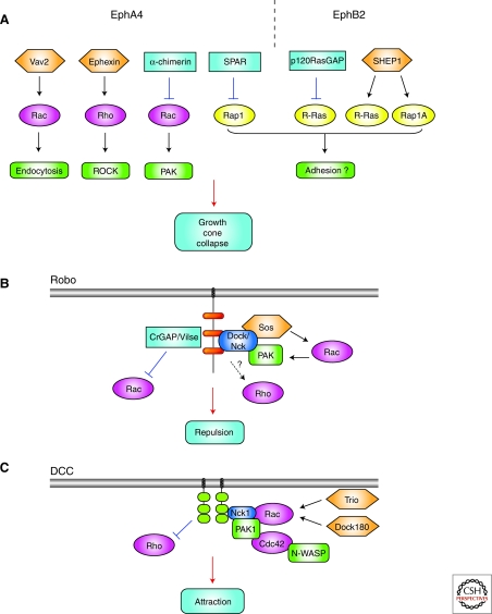 Figure 5.