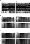 Figure 5—figure supplement 1.