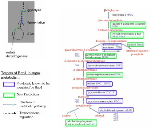 Fig. 10