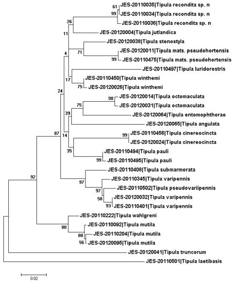 Figure 1.